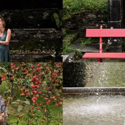 Roue Libre, une saison artistique